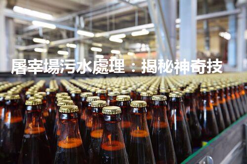 屠宰場污水處理：揭秘神奇技術，從源頭凈化，呵護環(huán)境！